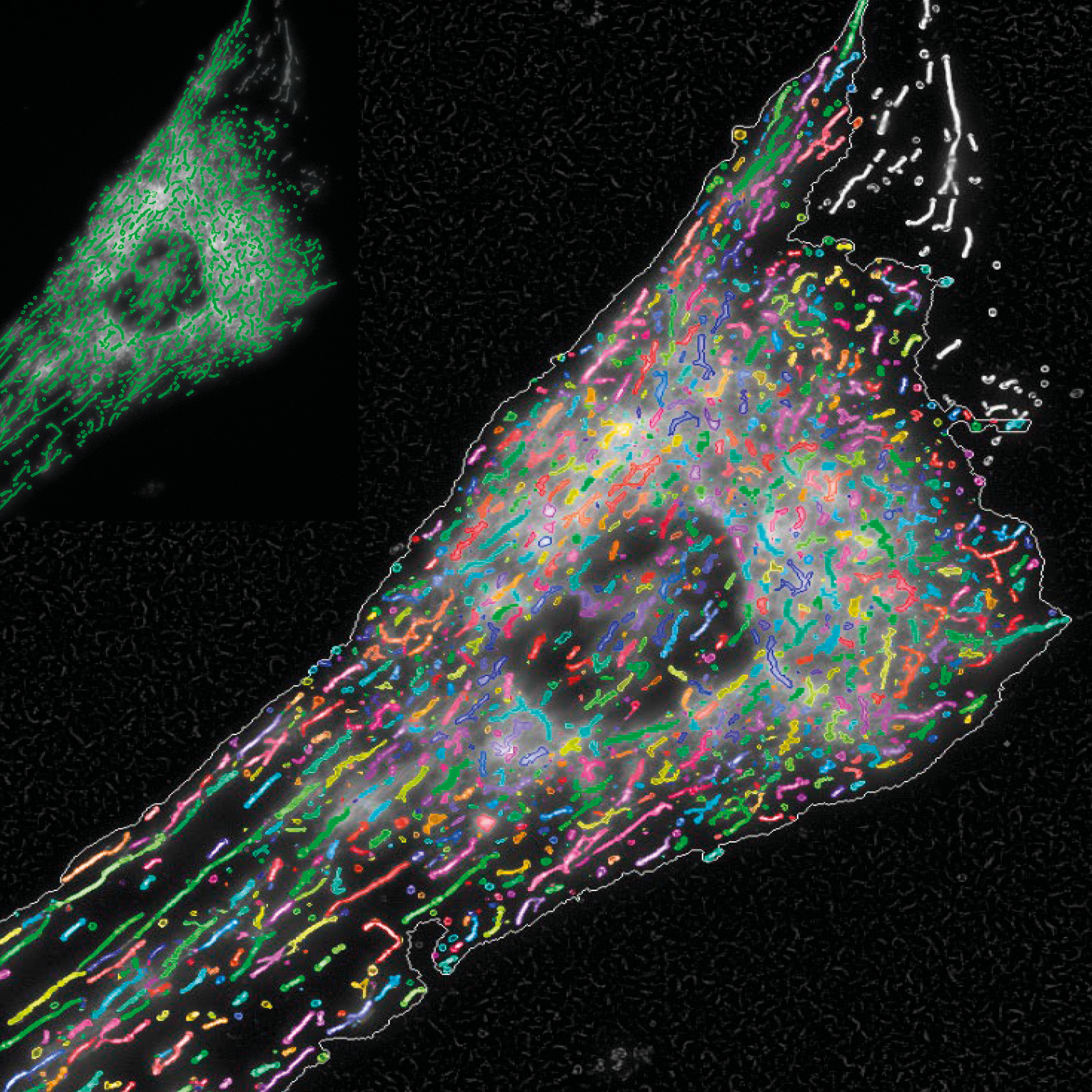 High Throughput Imaging